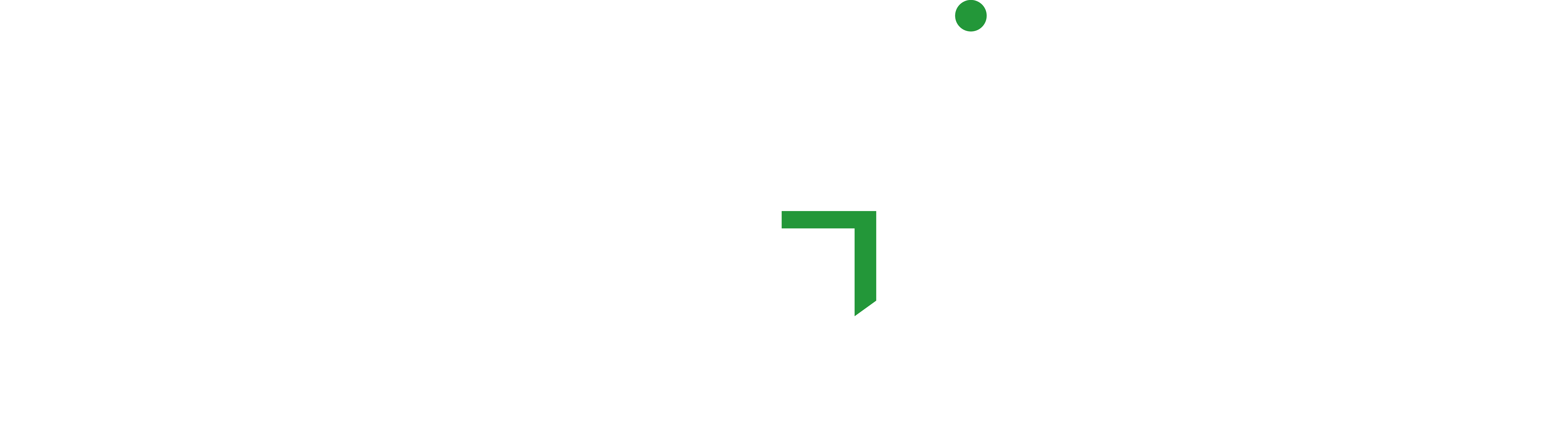 GREEN Conseil